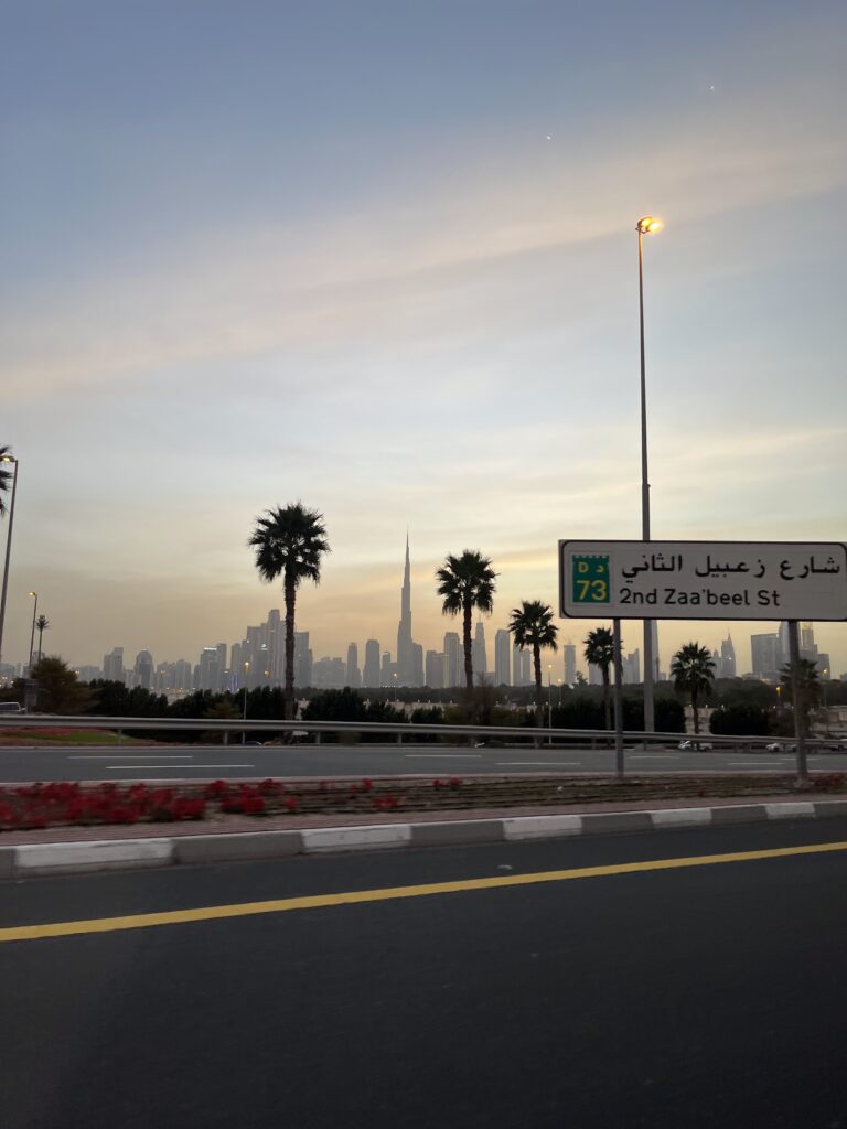 Vue sur la ville- Dubaï